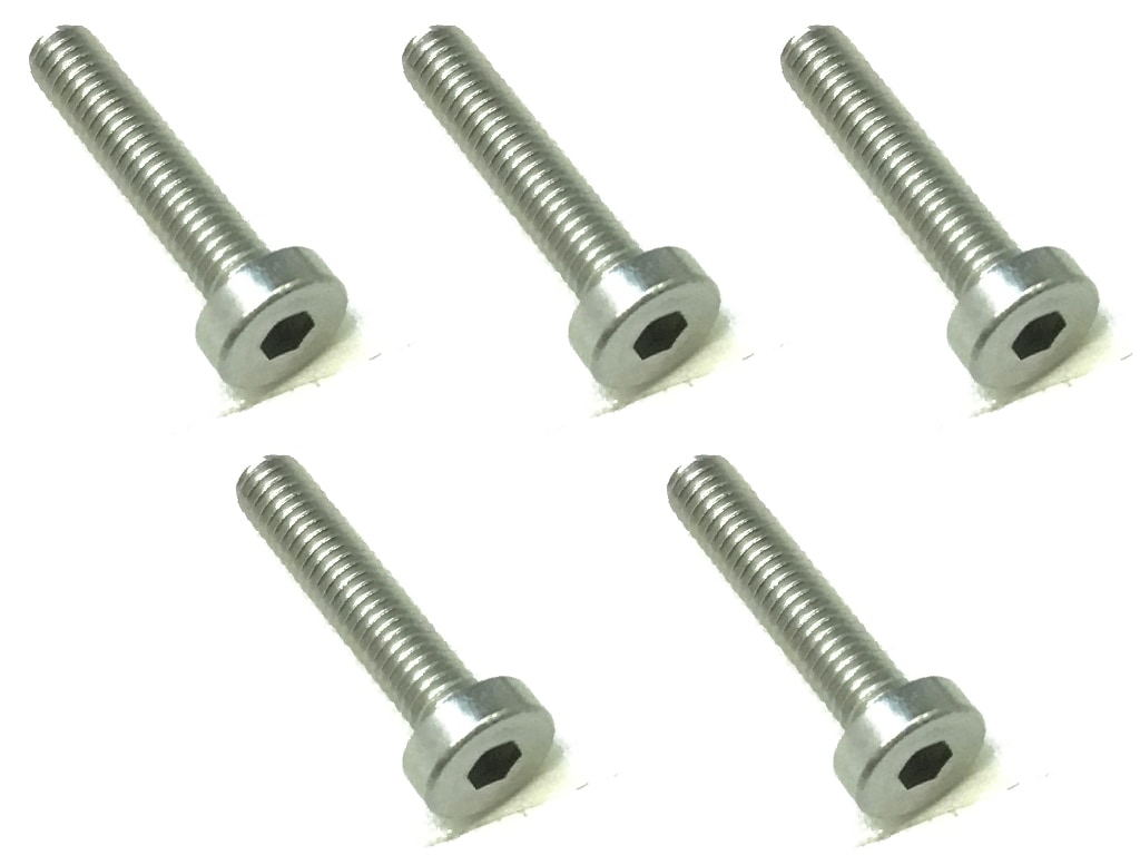 Low Head Stainless Steel CAP Bolt M3X14 5 pcs.