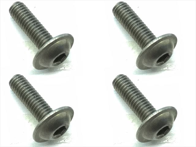 Titanium Hex Flanged Screw 3X10 4 pcs.