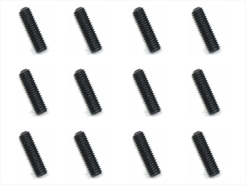 Stainless Steel Set Screw (Black Plated)3X10mm 12 pcs.