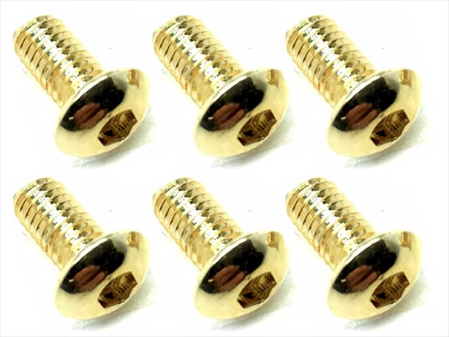 3X6 Stainless Steel Hex Socket Button Head Screw (6 pcs.) 24K Gold Plated