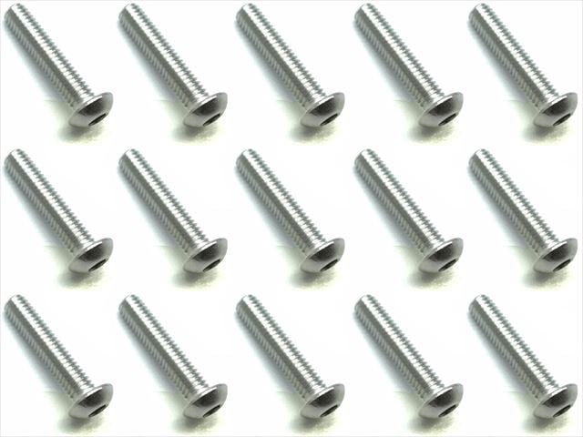 3X12 Stainless Steel Hex Socket Button Head Screw (15 pcs.)