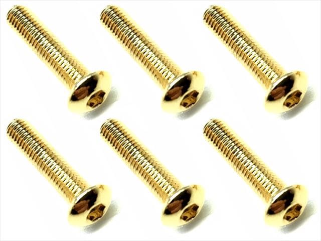 3×14 ステンレスヘックスボタンビス(6本入) 24Kゴールドメッキ 3×14 Stainless steel hex Pan Head Screw (6 pcs.) 24K gold plating
