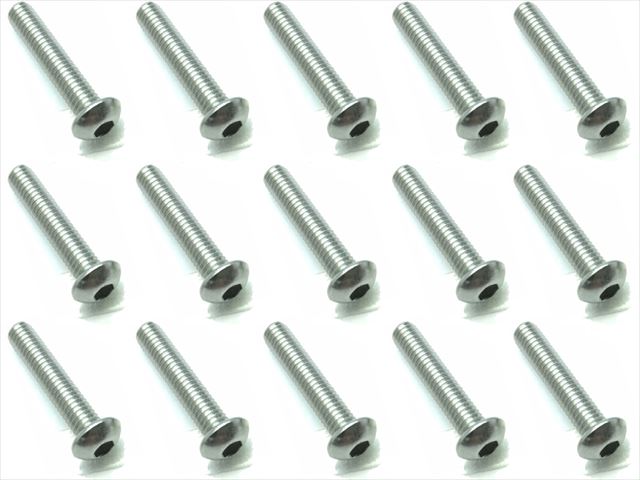 3X15 Stainless Steel Hex Socket Button Head Screw (15 pcs.)