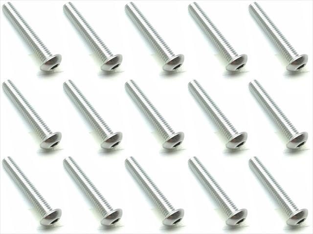 3X18 Stainless Steel Hex Socket Button Head Screw (15 pcs.)