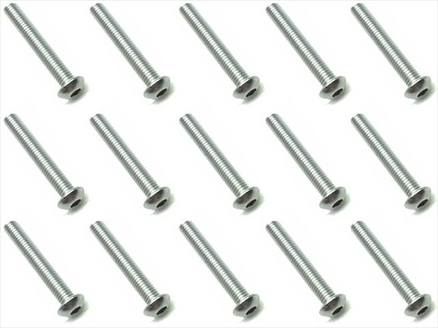 3X20 Stainless Steel Hex Socket Button Head Screw (15 pcs.)