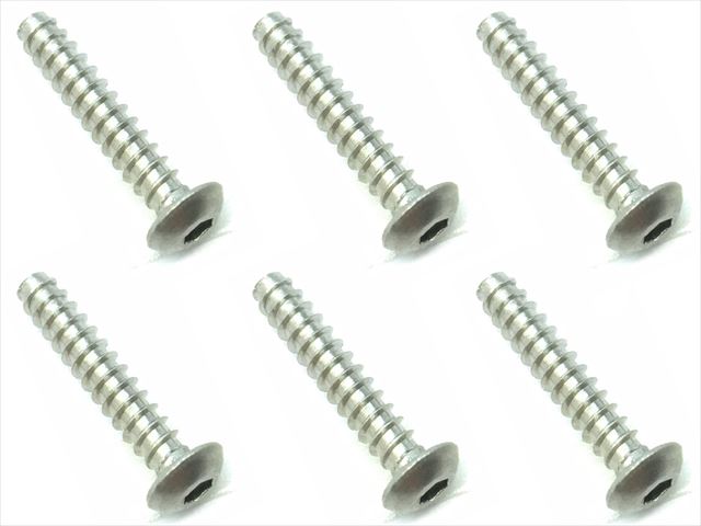 Titanium Hex Socket Button Head Tapping 3X15 6 pcs.