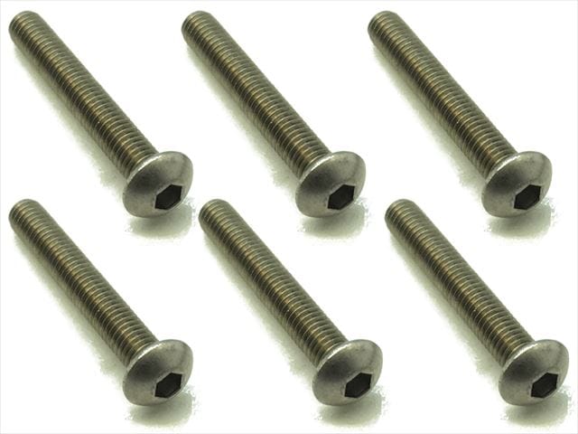 チタンヘックスナベビス 6本入 3×20 Titanium hex Pan Head Screw 3×20 (6 pcs.)