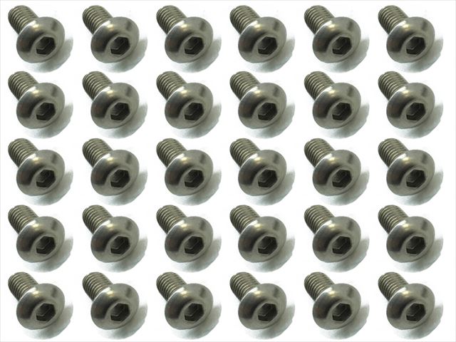 Titanium Hex Socket Pan Head Screw 3X6 30 pcs.