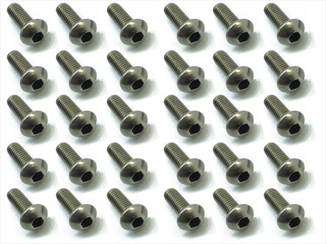 チタンヘックスナベビス 30本入 3×8 Titanium hex Pan Head Screw 3×8 (30 pcs.)