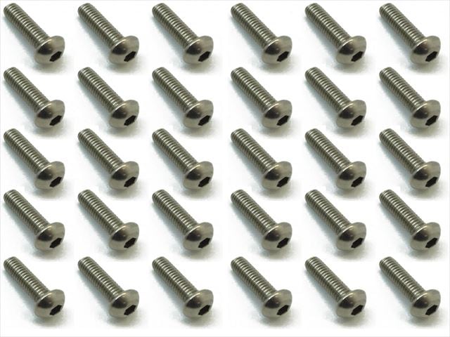Titanium Hex Socket Pan Head Screw 3X10 30 pcs.
