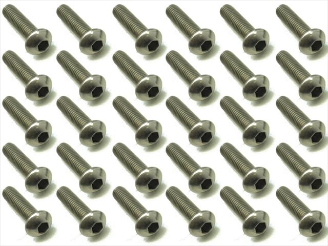 Titanium Hex Socket Pan Head Screw 3X12 30 pcs.