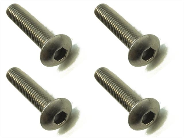 4x20ヘックスボタンビス 4本入 4x20 Titanium hex Pan Head Screw (4 pcs.)