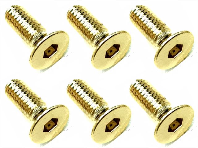 3X8 Stainless Steel Hex Socket Countersunk Screw (6 pcs.) 24K Gold Plated