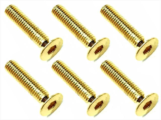 3X14 Stainless Steel Hex Socket Countersunk Screw (6 pcs.) 24K Gold Plated