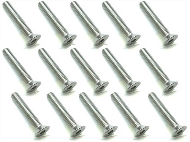 3X18 Stainless Steel Hex Socket Countersunk Screw (15 pcs.)