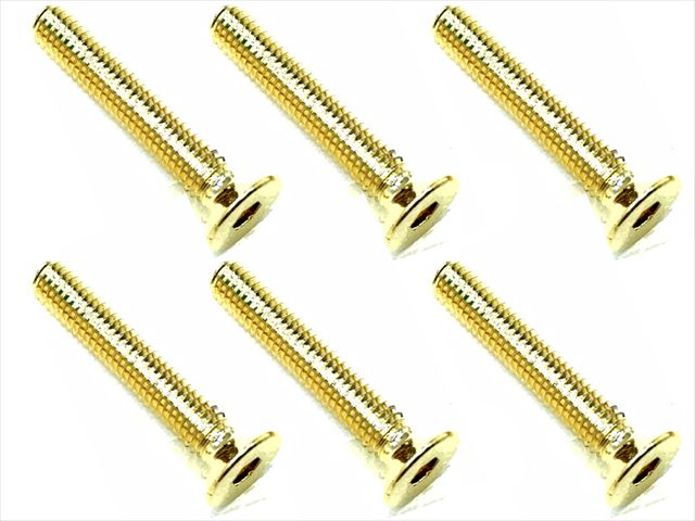 3X18 Stainless Steel Hex Socket Countersunk Screw (6 pcs.) 24K Gold Plated