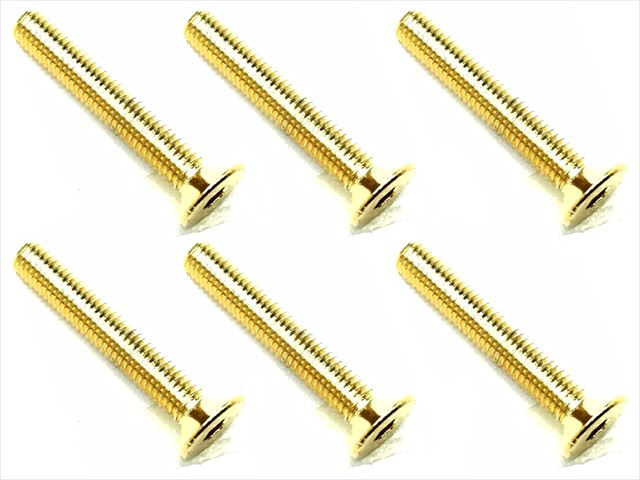 3X20 Stainless Steel Hex Socket Countersunk Screw (6 pcs.) 24K Gold Plated
