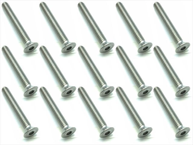 3X22 Stainless Steel Hex Socket Countersunk Screw (15 pcs.)