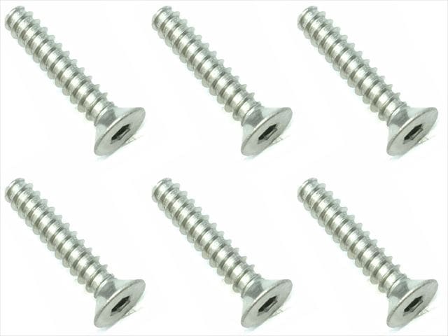 3X16 Titanium Hex Socket Countersunk Tapping Screw (6 pcs.)