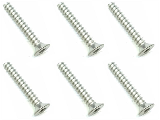 3X20 Titanium Hex Socket Countersunk Tapping Screw (6 pcs.)