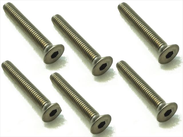 Titanium Hex Socket Countersunk Screw 3X20 6 pcs.