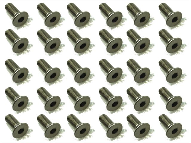 Titanium Hex Socket Countersunk Screw 30 pcs. 3×8